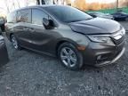 2019 Honda Odyssey EXL