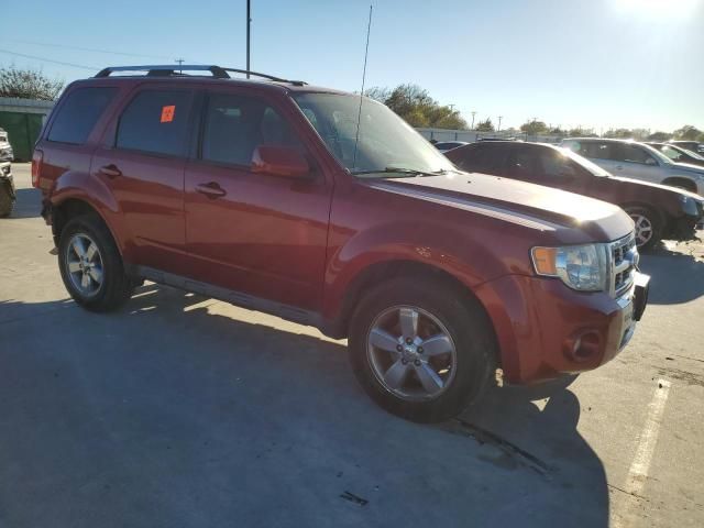 2012 Ford Escape Limited