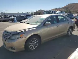 Vehiculos salvage en venta de Copart Colton, CA: 2010 Toyota Camry SE