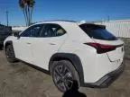 2024 Lexus UX 250H Base