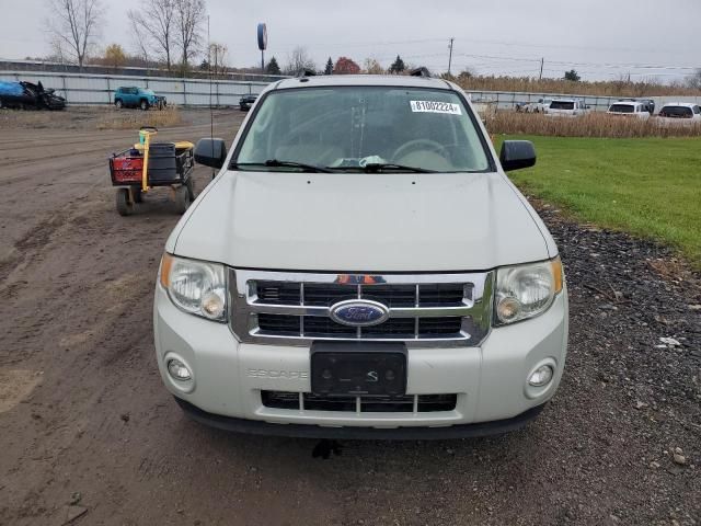 2009 Ford Escape XLT