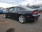 2013 Dodge Charger SE