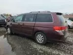 2008 Honda Odyssey EX