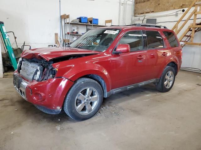 2010 Ford Escape Limited