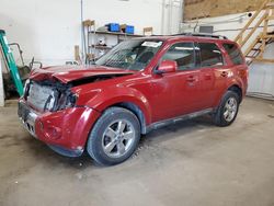 Salvage cars for sale from Copart Ham Lake, MN: 2010 Ford Escape Limited