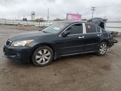 Honda Accord Vehiculos salvage en venta: 2008 Honda Accord EXL