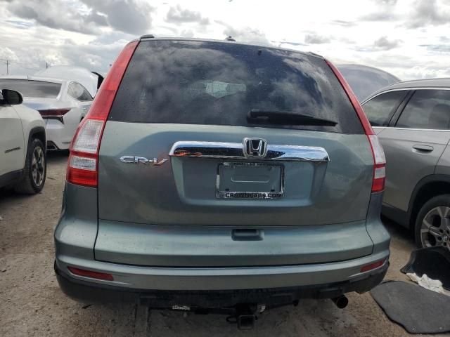 2010 Honda CR-V EXL