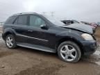 2007 Mercedes-Benz ML 350