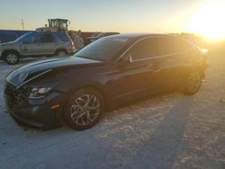 Salvage cars for sale at Arcadia, FL auction: 2021 Hyundai Sonata SEL