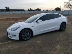 2020 Tesla Model 3 en venta en American Canyon, CA