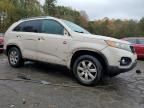 2011 KIA Sorento Base