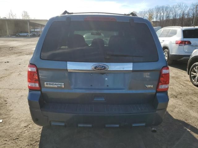 2010 Ford Escape Limited