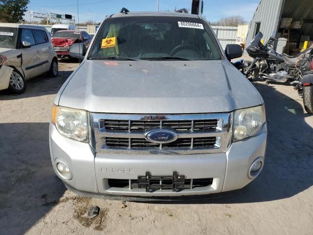 2009 Ford Escape XLT