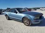 2005 Ford Mustang