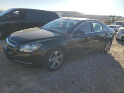 Salvage cars for sale from Copart San Antonio, TX: 2011 Chevrolet Malibu 1LT