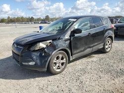 Ford Vehiculos salvage en venta: 2015 Ford Escape SE