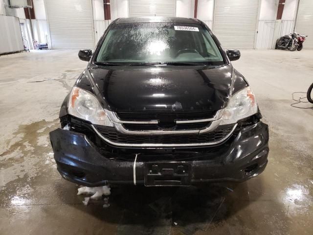 2010 Honda CR-V EXL