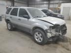 2007 Ford Escape XLT