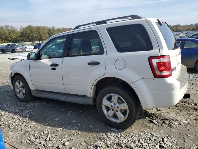 2011 Ford Escape XLT