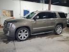 2016 Cadillac Escalade Luxury