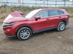 Salvage Cars with No Bids Yet For Sale at auction: 2024 Honda CR-V EX