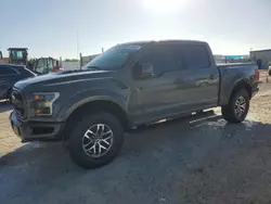 Salvage SUVs for sale at auction: 2018 Ford F150 Raptor