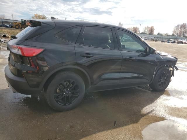 2020 Ford Escape SE Sport