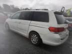 2010 Honda Odyssey EXL