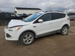 Ford Escape salvage cars for sale: 2014 Ford Escape SE