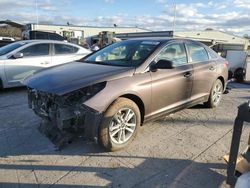 Lots with Bids for sale at auction: 2016 Hyundai Sonata SE