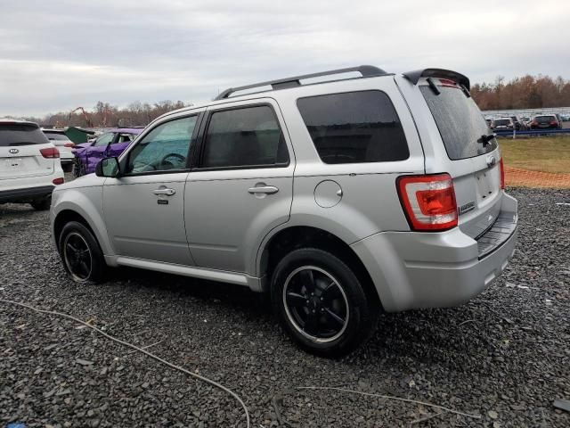 2010 Ford Escape XLT