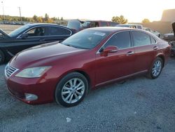 Lexus Vehiculos salvage en venta: 2011 Lexus ES 350