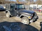 2004 Jeep Wrangler / TJ Sport