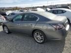 2014 Nissan Maxima S