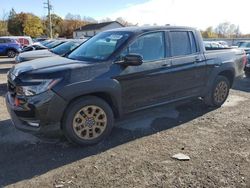 Salvage cars for sale at York Haven, PA auction: 2021 Honda Ridgeline Sport