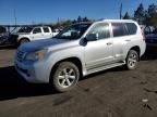 2012 Lexus GX 460