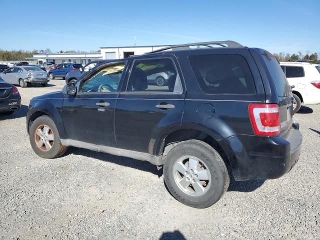 2009 Ford Escape XLT