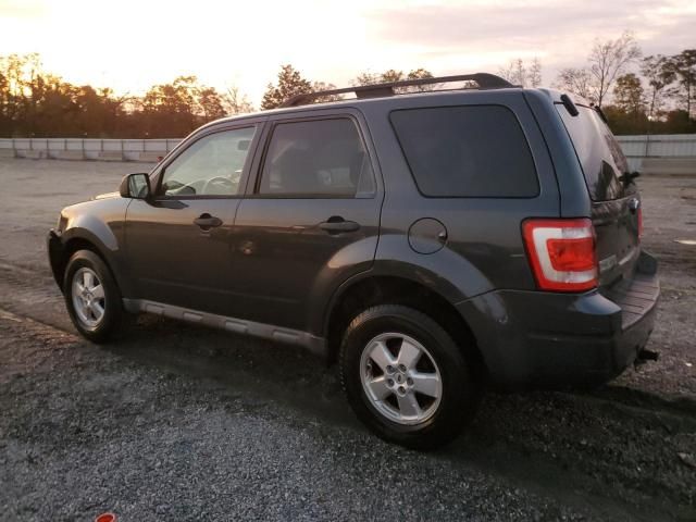 2009 Ford Escape XLT