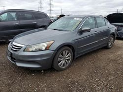 2011 Honda Accord EXL en venta en Elgin, IL