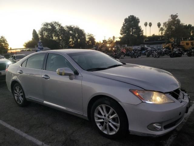 2010 Lexus ES 350