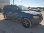 2007 Ford Escape XLS