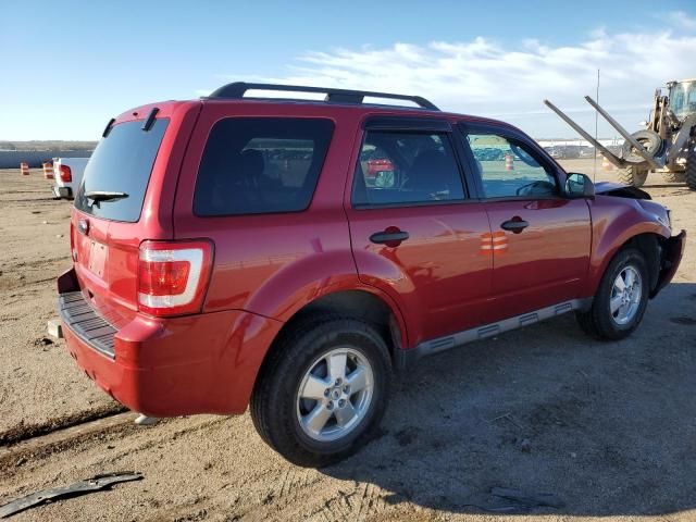 2010 Ford Escape XLT