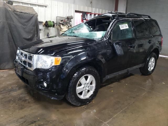 2009 Ford Escape XLT