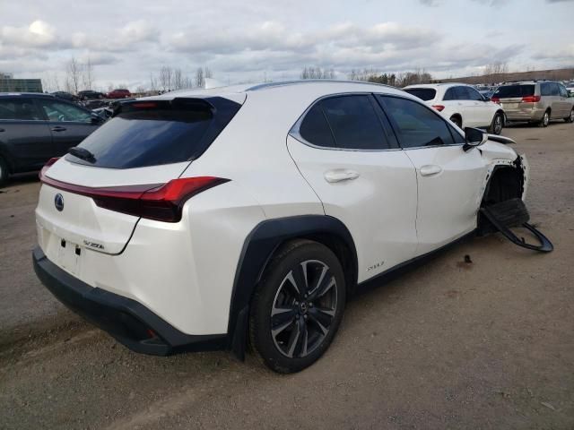 2019 Lexus UX 250H