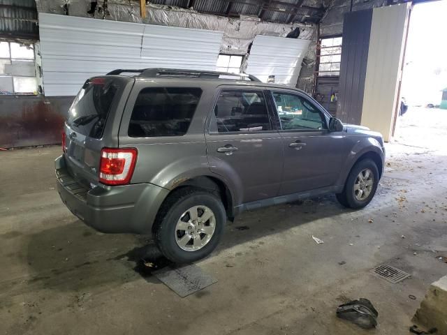 2011 Ford Escape Limited