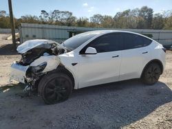 Tesla Model y salvage cars for sale: 2025 Tesla Model Y