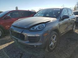 Salvage SUVs for sale at auction: 2016 Porsche Cayenne