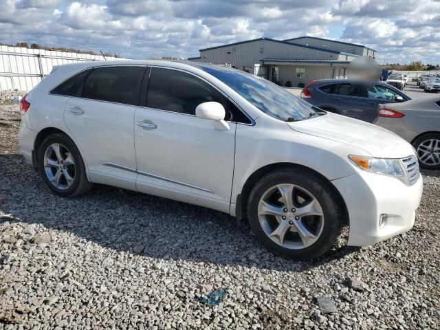 2010 Toyota Venza