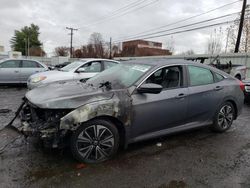 Honda Civic Vehiculos salvage en venta: 2017 Honda Civic EXL