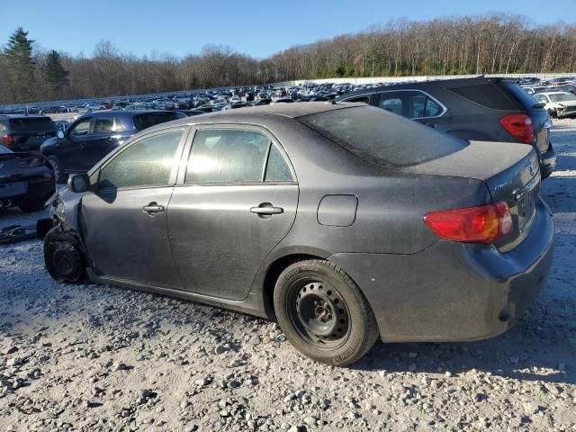 2010 Toyota Corolla Base